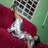 Mirian Alves