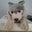 Tatsunori Aoki