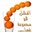 محمد جمعة الصباغ