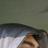 Moises Garcia