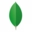 mongodb/10gen