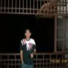monilnisar