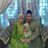 Monisa Shaari