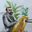 Amitesh Singhal