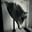 Nat Lider