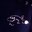 Neil Belford