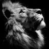 neyonrock