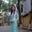Lyly Le
