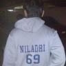 niladrishekardey