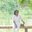 Nilmini Wijegunasekara