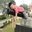 Jung Kian ng