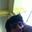 Danny Aguilar Mejia