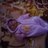 Yudith Nolasco Jorge