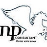 np consultant