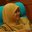 Nur Meen