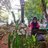 Nur Aviifah