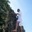 magmadipa undip