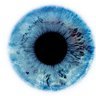 opticooptometrista