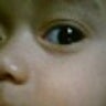 orkid90