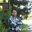 Paras Maheshwari