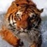 parthsarathy