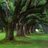 Then Nan Hua