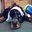 Peter Schmitz