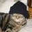 pippo777
