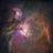 Paola Alfaro