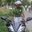 Prasenjit Saha RW