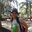 Pratibha Ogale
