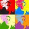 pronovel