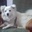 Puppala Mrudula