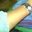 Puput Elshirazy
