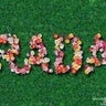 radagd