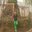 Rajan Shrestha