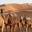 Rajasthan Tours  Online