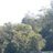Ramashish Baranwal