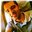 Renan Silva Freitas