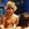 Ricky Jota