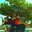 Ritesh Jain