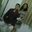 Rohit Upadhyay