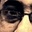 Ron Goswami