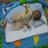 Roseniwaty Mohd Daud