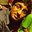 Rituraj Roy