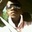 Ryan Gilkes