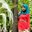 RYe HaNy RatnaSary