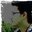 Aboo Saarim