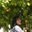 Sairat Noknoy