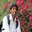 Sant Swarup Srivastava